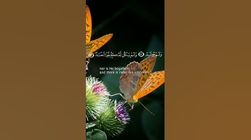 سورة الإخلاص بصوت جميل وهادئ روووعة