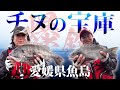 「ニューチヌパワーダッシュ」の威力で、チヌが爆釣！愛媛県魚島