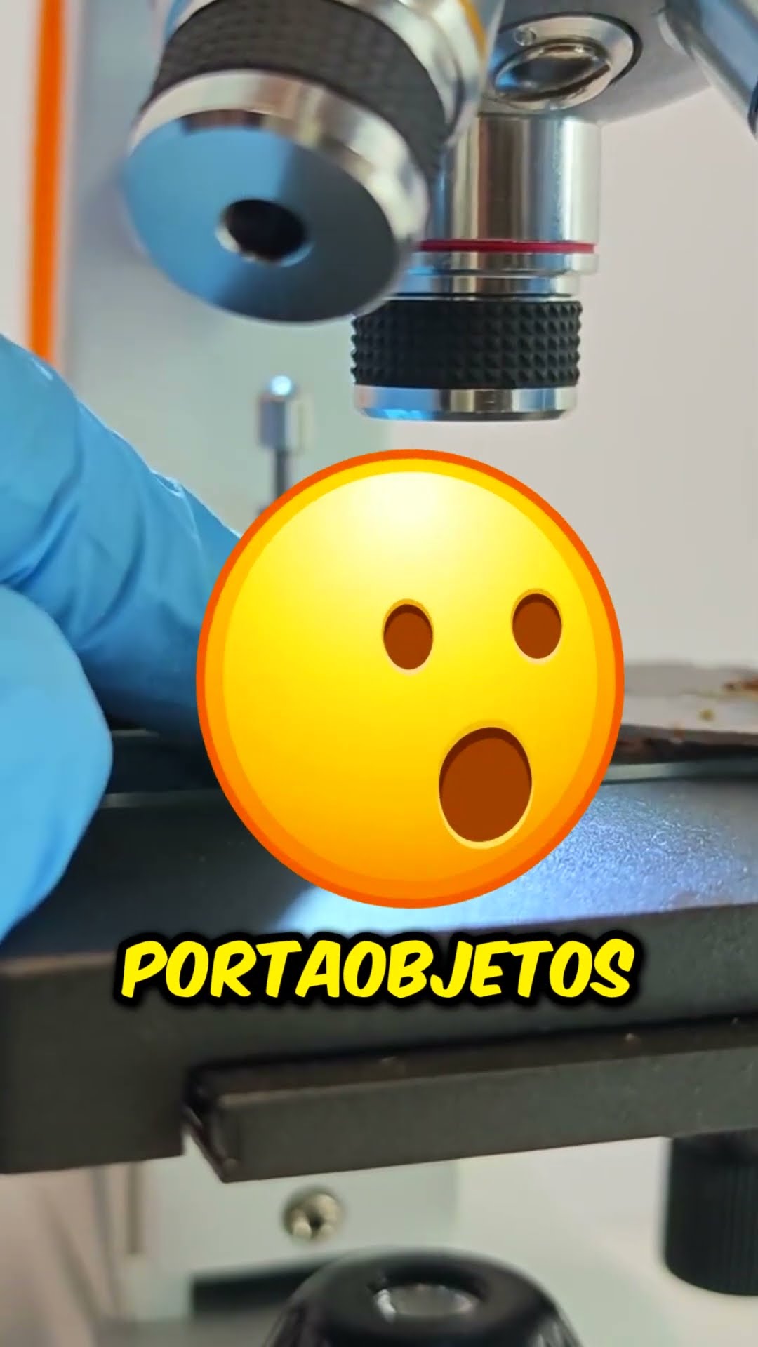¡Cómo se ve un Snickers bajo el microscopio! ??