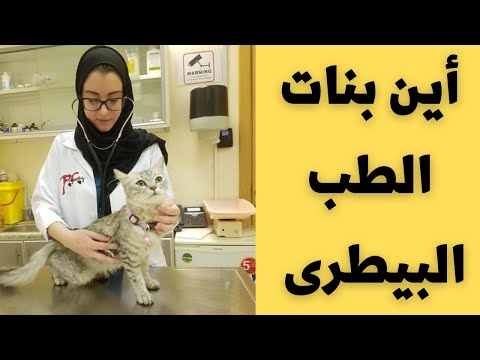 نصائح للبنات فقط 👩‍🎓 طالبات كلية الطب البيطرى 🏛 وما مدى ملائمة الطب البيطرى للبنات 🙇‍♀️