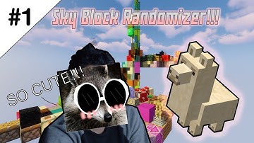 Minecraft Skyblock Randomizer #1