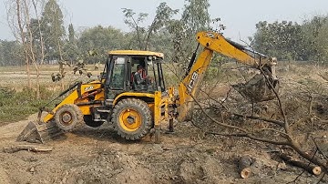 JCB Throwing Out Tree and Tree Roots From Pound - JCB Dozer Working Video