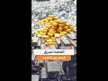 في ظل ارتفاع أسعار الذهب عالمي ا الفضة تعود كخيار استثماري واعد يسرق الأضواء من المعدن الأصفر في ظل ارتفاع أسعار الذهب عالمي ا الفضة تعود كخيار استثماري واعد يسرق الأضواء من المعدن الأصفر