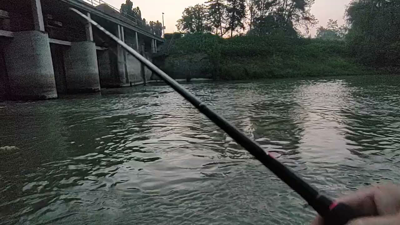 Salmo Thrill 🎣💪