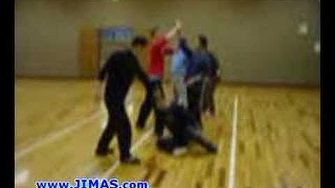 (J.I.M.A.S) japanese seminar - Ba gua throwing
