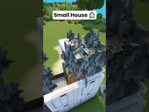 Minecraft Small House 🏠 #shorts