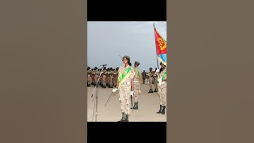 #shorts #habesha #eritrea #ethiopia #africa #eritreanews #eritreantiktok #independence