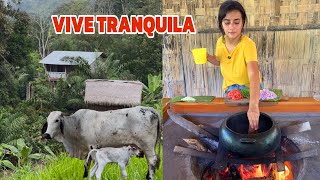Download Lagu VIVE TRANQUILA gracias a la TIERRA de su FINCA ♥️🏠 Josue y Elie MP3 Download Lagu VIVE TRANQUILA gracias a la TIERRA de su FINCA ♥️🏠 Josue y Elie MP3