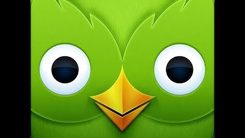 Duolingo PUSHHHH YTP