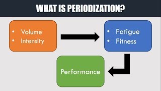 What is Periodization? | How to Plan and Manage Training