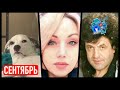 COUB приколы сентябрь 2023 | Сoub, TikTok, Instagram best