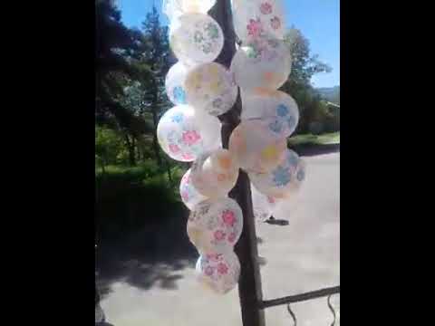 მანგლისის N1