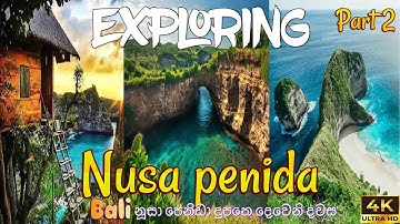 Exploring Nusa penida : Tree house,Kelingking beach and Broken beach