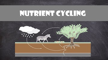 Nutrient Cycling | Ecology