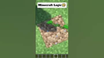 Weird Minecraft Logic 😂 (Part 4) #shorts