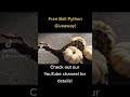 🐍 Giveaway!