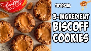 3-Ingredient Biscoff Cookies! Recipe tutorial #Shorts screenshot 4