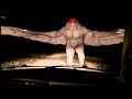 5 mothman caught on tape  spotted in real life unexplained paranormal sighting