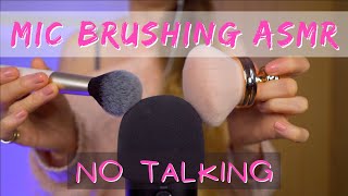 ASMR Intense Mic Brushing, Scratching and Stroking - NO Talking - BINAURAL
