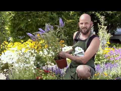 Video: Blumenbeete Auf Dem Land: Welches Soll Man Wählen?