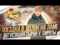 В гости к Олегу Сироте. Волоколамск. Сыроварня.