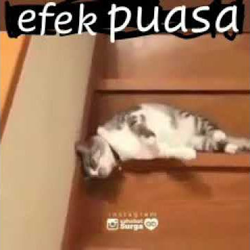 MAGRIB JEK SUWE TAH AKU WES LESU