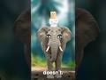 This elephant stayed trapped for the wrong reason 🐘 #mindset #shorts