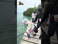 Meal Prep for Tarpon Fish 🐟🇧🇿 | Caye Caulker Belize Slow Motion LOL 😂🏝️
