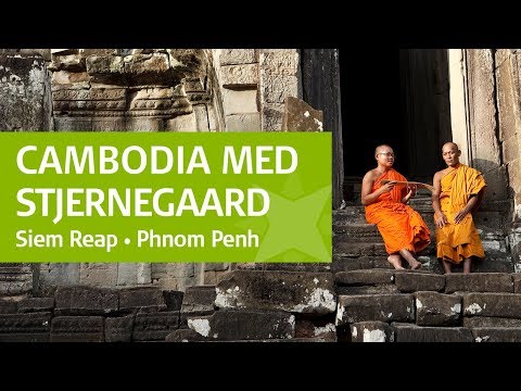 Video: Besøger Wat Phnom i Phnom Penh, Cambodia