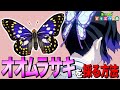 【あつ森】胡蝶しのぶの髪飾り「オオムラサキ」を採る方法 ～Great Purple Emperor～【あつまれ どうぶつの森】