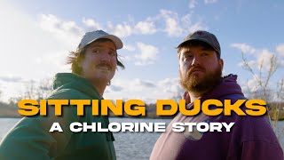 Sitting Ducks | A Chlorine Story