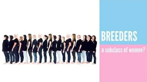 Breeders: A Subclass of Women