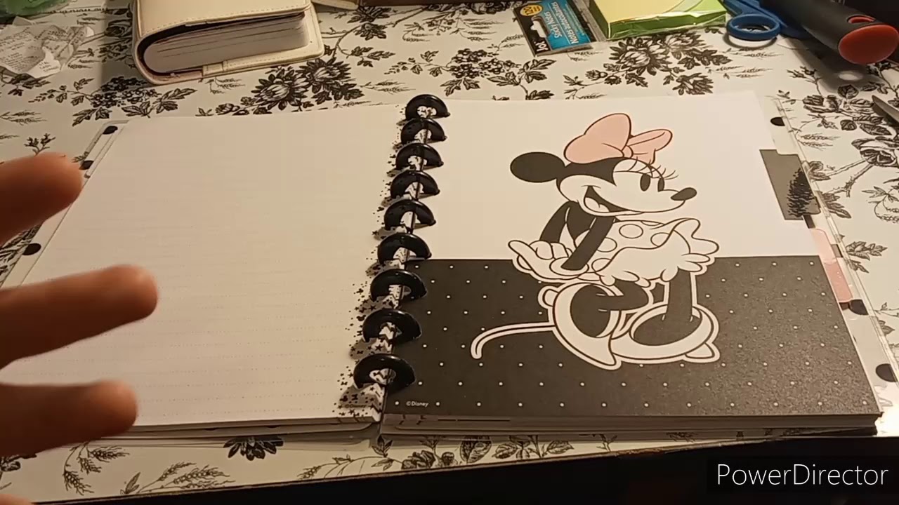 The Happy Notes Disney Notebook Flipthrough / Jewel-Osco Small Haul