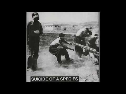 Suicide Of A Species artwork