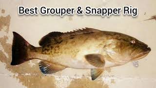 Best Grouper & Snapper Rig Super Simple