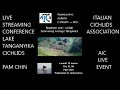 PAM CHIN *Swimming with Cichlids* LAKE TANGAYIKA CICHLIDS *AIC EVENT LIVE *African Wild Cichlids*