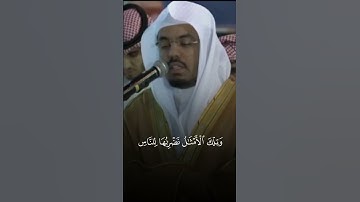 الشيخ ياسر الدوسري | تلاوة من سورة الحشر