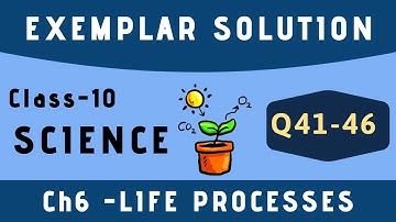 Life process exemplar solution | class 10 science exemplar solution | Q41-Q46
