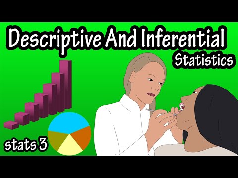 What Are Is Descriptive And Inferential Statistics - What Are The Different Branches Of Statistics