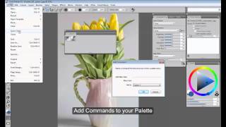 Workspace Creation and Management