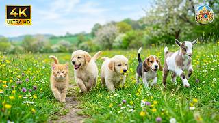 Amis de la Prairie Cachée 🐶🌼 Bébés animaux sauvages vivant paisiblement dans la nature ✨ screenshot 5