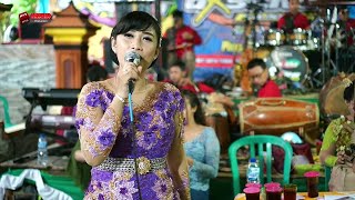 Cokek Mania GELO ARSEKA MUSIK Campursari SRAGEN