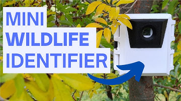 Raspberry Pi Zero AI Wildlife Detector!