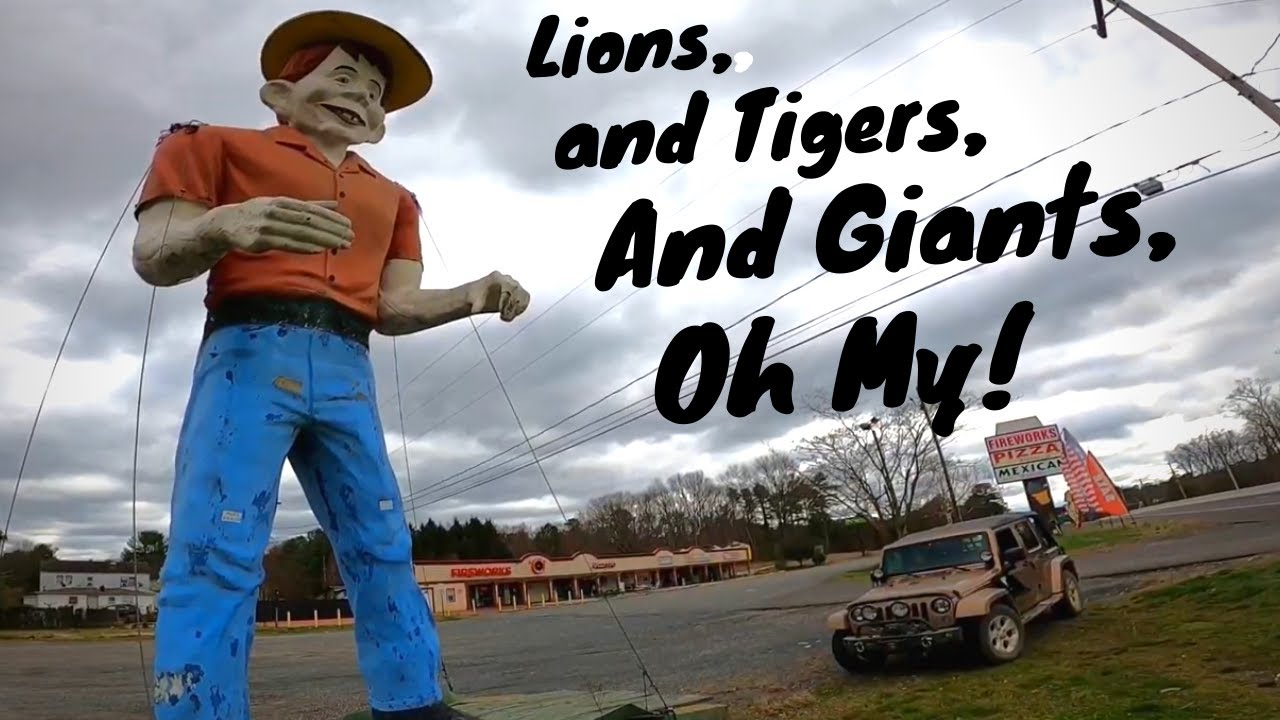 Discovering Colliers Mills Wildlife Management Area in the pine barrens