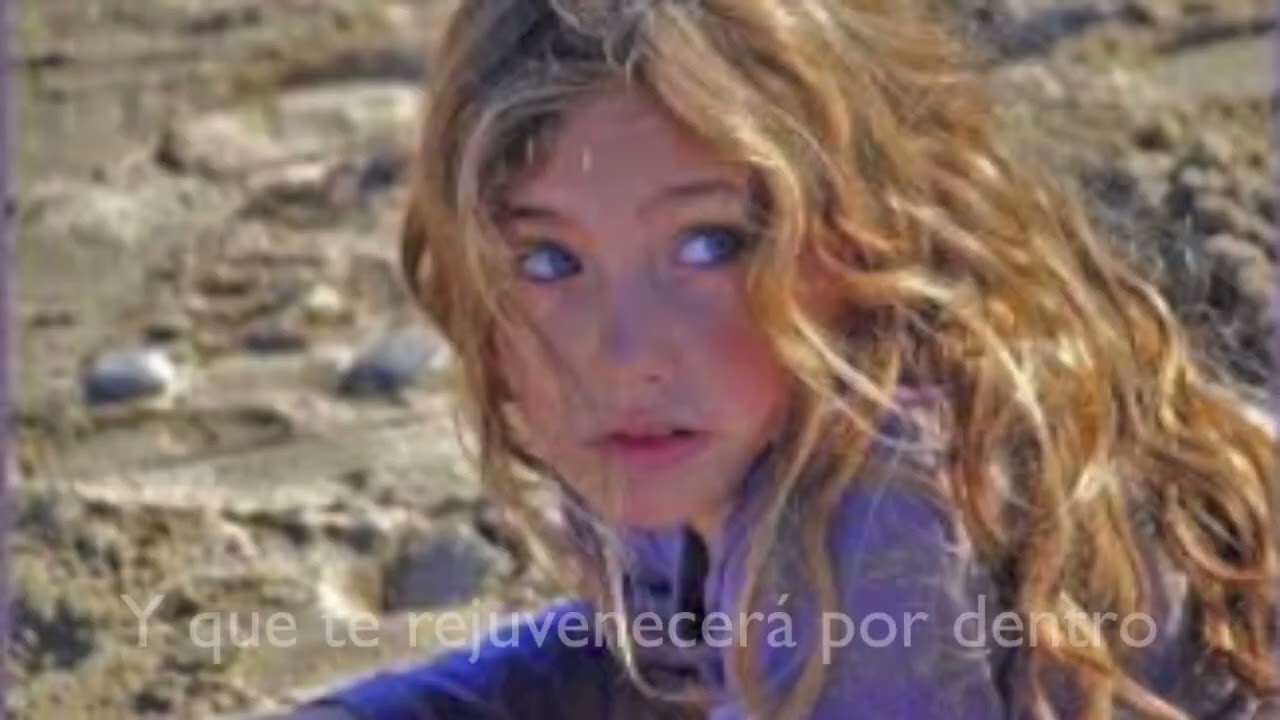 Memorias del Sauce Curvo -Book trailer de la novela.