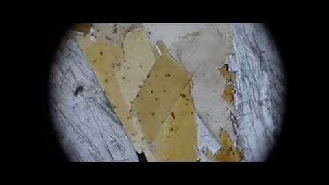 Pleochroism - What and Why