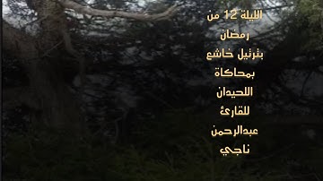 ترتيل خاشع لأجمل ماتسمع. من محاكاة اللحيدان للقارئ عبدالرحمن ناجي من الليلة ١٢ من ليالي رمضان1446