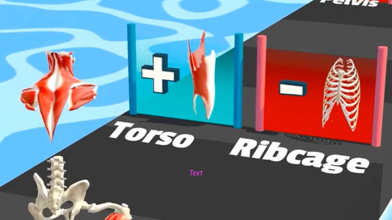 Human Run - Gameplay Walkthrough - Complete The Human (IOS, Android)