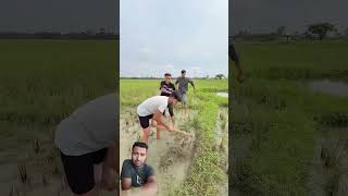 #foryou #funny #comedy #amazingnature #chameleon #hunting #lizard #nature