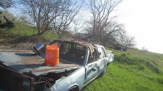 Davidsfarm spring 2026 update